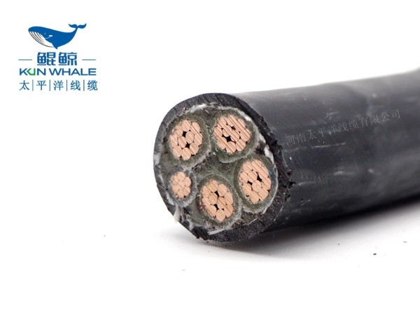 低煙無鹵電纜應用在哪些場所你知道嗎？