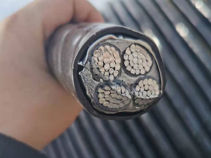 鎧裝電纜價格比普通電纜的貴憑什么？