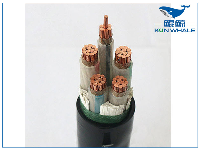 鄭州電纜廠帶你了解wdz—yje是什么電纜？